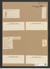 Amphora normanii Rabenh. (de-Toni-Nr.: Genus 36, Species 1543) Zeichnungen Sammlung Grunow Nr. 2968 (NHMW-BOT-W0370331)